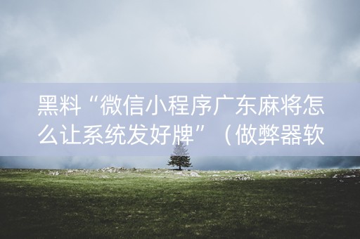 黑料“微信小程序广东麻将怎么让系统发好牌”（做弊器软件下载)