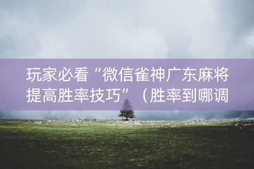 玩家必看“微信雀神广东麻将提高胜率技巧”（胜率到哪调)