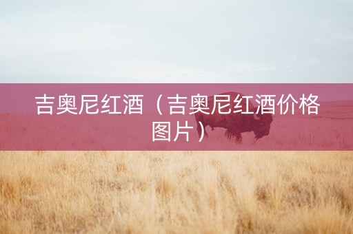 吉奥尼红酒（吉奥尼红酒价格图片）