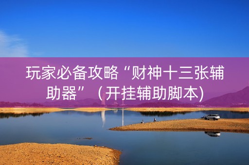 玩家必备攻略“财神十三张辅助器”（开挂辅助脚本)