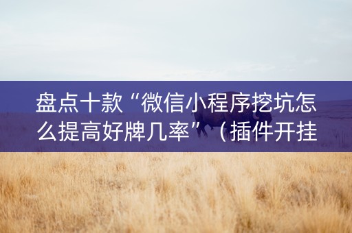 盘点十款“微信小程序挖坑怎么提高好牌几率”（插件开挂免费AI)