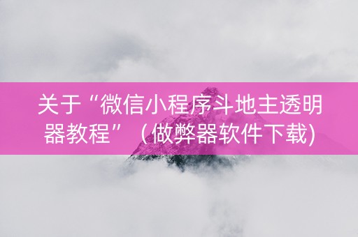 关于“微信小程序斗地主透明器教程”（做弊器软件下载)