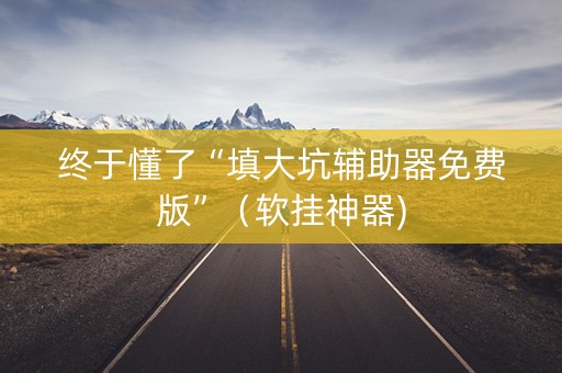终于懂了“填大坑辅助器免费版”（软挂神器)