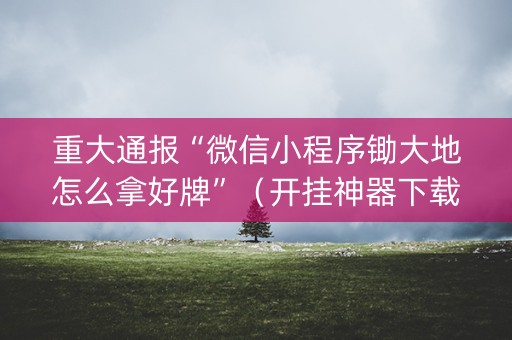 重大通报“微信小程序锄大地怎么拿好牌”（开挂神器下载)