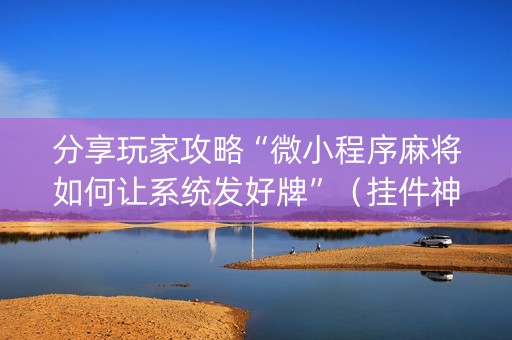 分享玩家攻略“微小程序麻将如何让系统发好牌”（挂件神器)