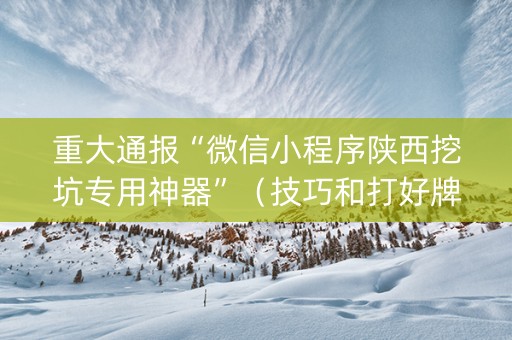 重大通报“微信小程序陕西挖坑专用神器”（技巧和打好牌方法)