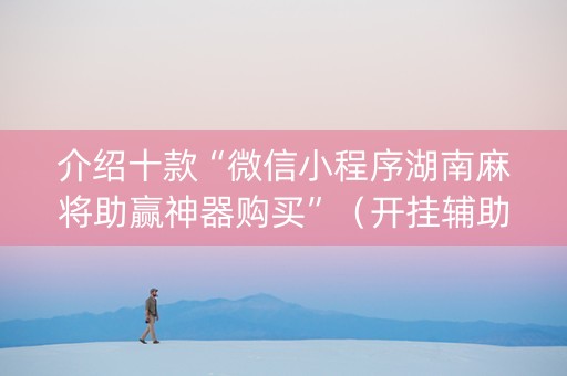 介绍十款“微信小程序湖南麻将助赢神器购买”（开挂辅助器插件)