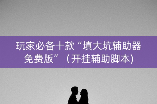 玩家必备十款“填大坑辅助器免费版”（开挂辅助脚本)