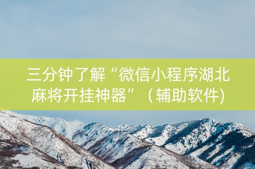三分钟了解“微信小程序湖北麻将开挂神器”（辅助软件)