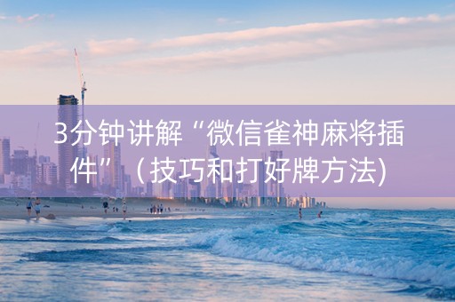 3分钟讲解“微信雀神麻将插件”（技巧和打好牌方法)