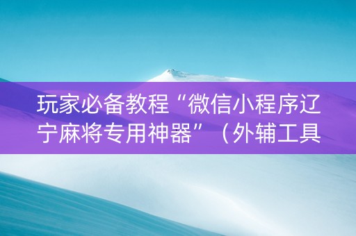 玩家必备教程“微信小程序辽宁麻将专用神器”（外辅工具)