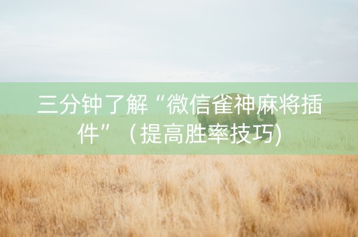 三分钟了解“微信雀神麻将插件”（提高胜率技巧)