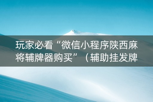玩家必看“微信小程序陕西麻将辅牌器购买”（辅助挂发牌规律)