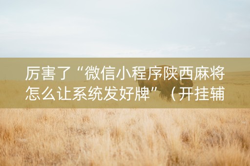 厉害了“微信小程序陕西麻将怎么让系统发好牌”（开挂辅助插件)