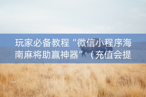 玩家必备教程“微信小程序海南麻将助赢神器”（充值会提高胜率么)