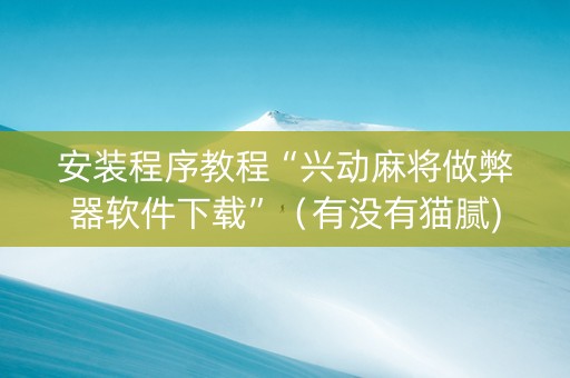 安装程序教程“兴动麻将做弊器软件下载”（有没有猫腻)