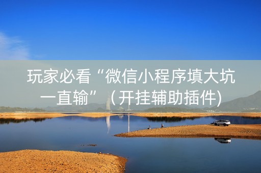 玩家必看“微信小程序填大坑一直输”（开挂辅助插件)