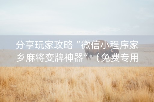 分享玩家攻略“微信小程序家乡麻将变牌神器”（免费专用神器)