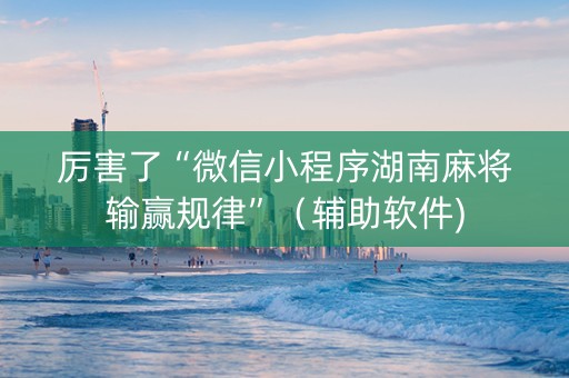厉害了“微信小程序湖南麻将输赢规律”（辅助软件)
