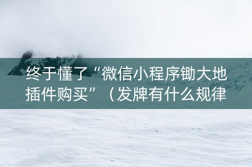 终于懂了“微信小程序锄大地插件购买”（发牌有什么规律吗)