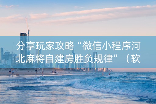 分享玩家攻略“微信小程序河北麻将自建房胜负规律”（软挂神器)