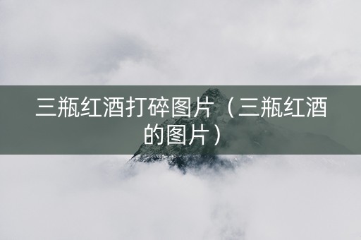 三瓶红酒打碎图片（三瓶红酒的图片）