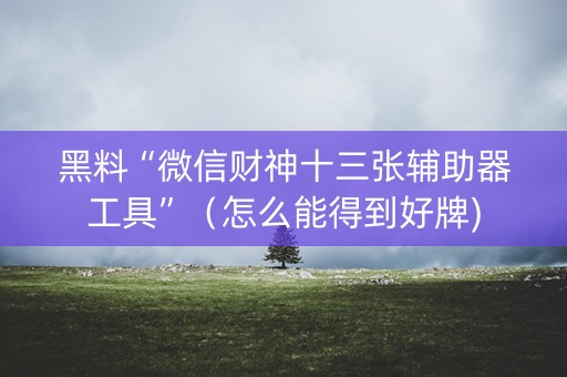 黑料“微信财神十三张辅助器工具”（怎么能得到好牌)