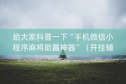给大家科普一下“手机微信小程序麻将助赢神器”（开挂辅助器插件)