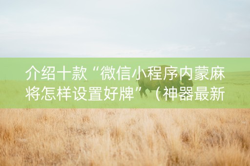 介绍十款“微信小程序内蒙麻将怎样设置好牌”（神器最新免费)