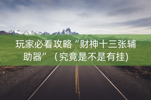 玩家必看攻略“财神十三张辅助器”（究竟是不是有挂)