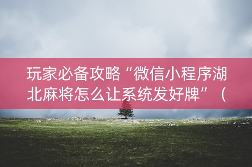 玩家必备攻略“微信小程序湖北麻将怎么让系统发好牌”（有什么规律)