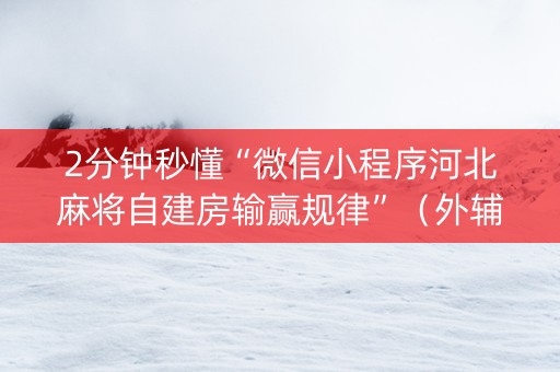 2分钟秒懂“微信小程序河北麻将自建房输赢规律”（外辅工具)