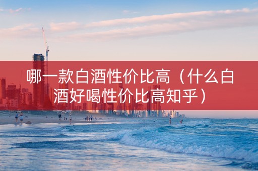哪一款白酒性价比高（什么白酒好喝性价比高知乎）