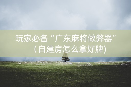 玩家必备“广东麻将做弊器”（自建房怎么拿好牌)