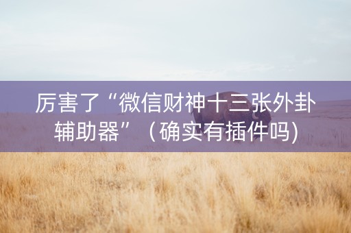 厉害了“微信财神十三张外卦辅助器”（确实有插件吗)