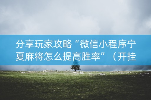 分享玩家攻略“微信小程序宁夏麻将怎么提高胜率”（开挂辅助器插件)
