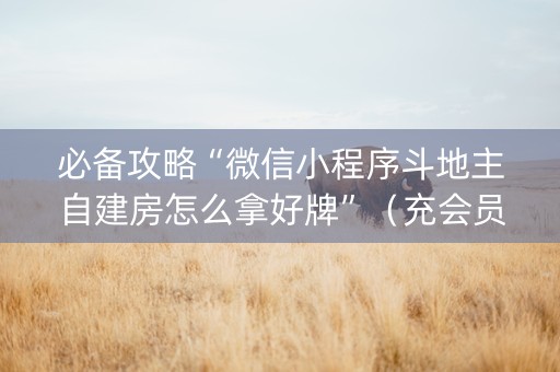 必备攻略“微信小程序斗地主自建房怎么拿好牌”（充会员胜率高)