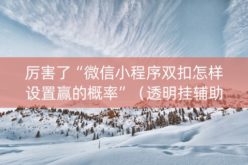 厉害了“微信小程序双扣怎样设置赢的概率”（透明挂辅助器)