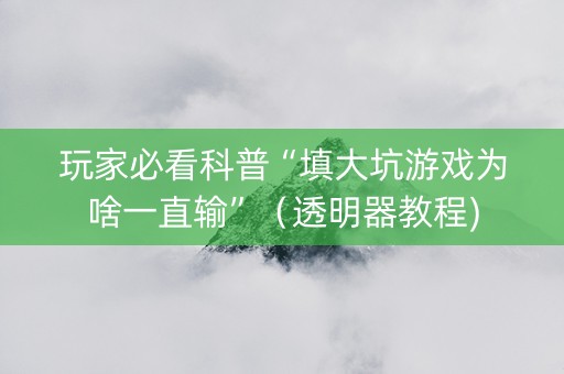 玩家必看科普“填大坑游戏为啥一直输”（透明器教程)