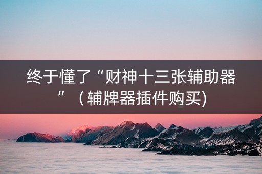 终于懂了“财神十三张辅助器”（辅牌器插件购买)