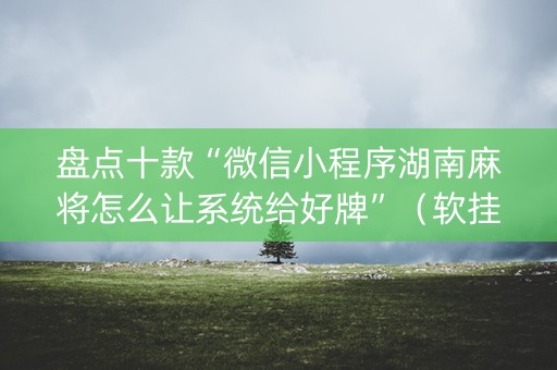 盘点十款“微信小程序湖南麻将怎么让系统给好牌”（软挂神器)