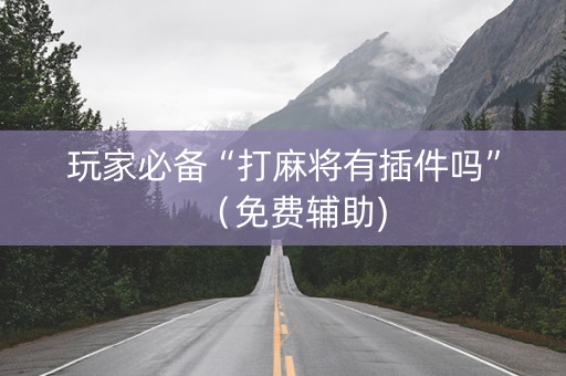 玩家必备“打麻将有插件吗”（免费辅助)