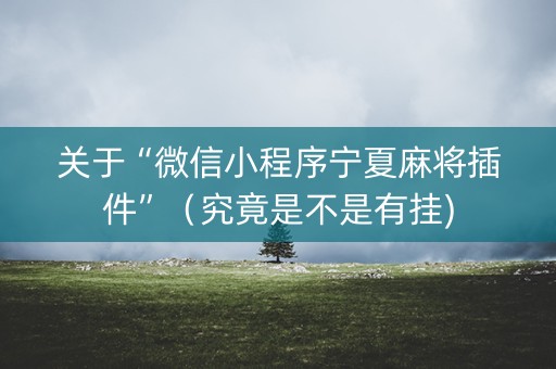 关于“微信小程序宁夏麻将插件”（究竟是不是有挂)