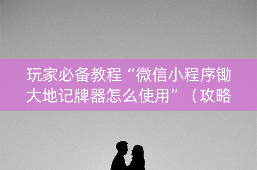 玩家必备教程“微信小程序锄大地记牌器怎么使用”（攻略插件)
