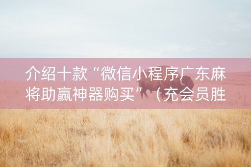 介绍十款“微信小程序广东麻将助赢神器购买”（充会员胜率高)