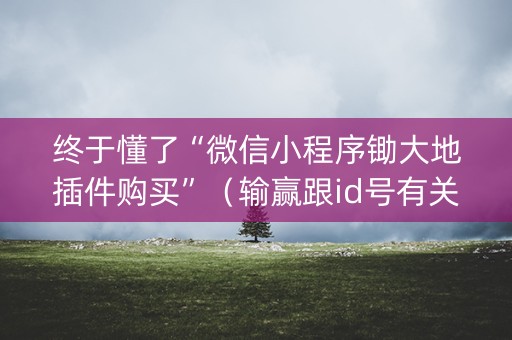 终于懂了“微信小程序锄大地插件购买”（输赢跟id号有关系吗)