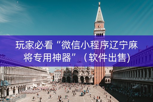 玩家必看“微信小程序辽宁麻将专用神器”（软件出售)