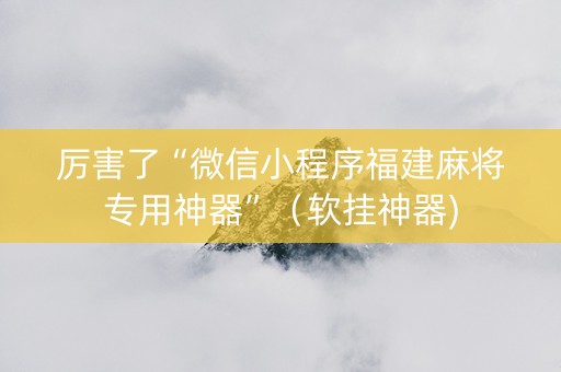 厉害了“微信小程序福建麻将专用神器”（软挂神器)