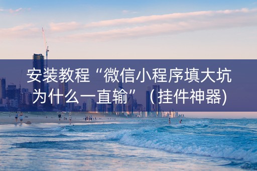 安装教程“微信小程序填大坑为什么一直输”（挂件神器)