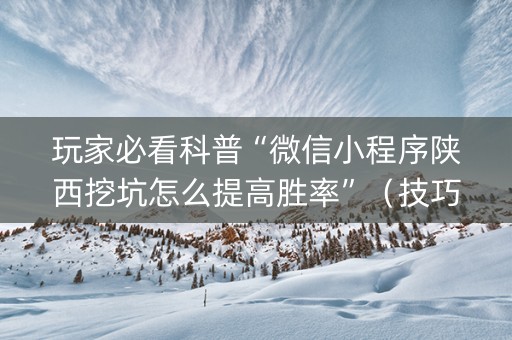 玩家必看科普“微信小程序陕西挖坑怎么提高胜率”（技巧和打好牌方法)